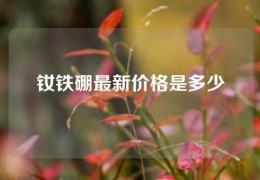 钕铁硼最新价格是多少