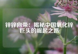 锌锌向荣：揭秘中国氧化锌巨头的崛起之路