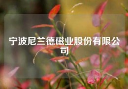 宁波尼兰德磁业股份有限公司