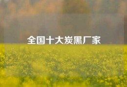 全国十大炭黑厂家