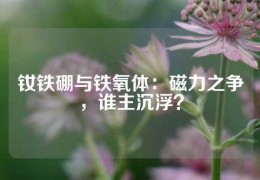 钕铁硼与铁氧体：磁力之争，谁主沉浮？