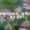 钕铁硼与铁氧体：磁力之争，谁主沉浮？