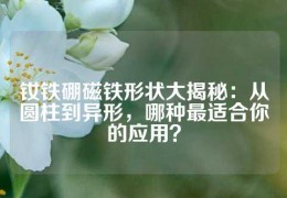 钕铁硼磁铁形状大揭秘：从圆柱到异形，哪种最适合你的应用？