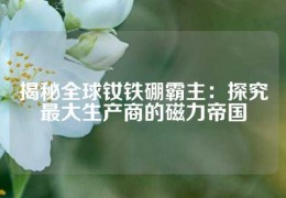 揭秘全球钕铁硼霸主：探究最大生产商的磁力帝国