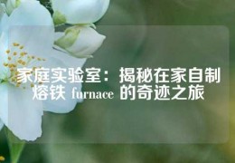 家庭实验室：揭秘在家自制熔铁 furnace 的奇迹之旅