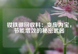 钕铁硼回收料：变废为宝，节能增效的秘密武器