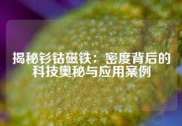 揭秘钐钴磁铁：密度背后的科技奥秘与应用案例