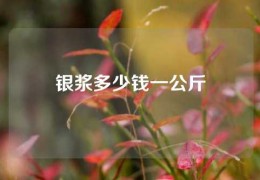 银浆多少钱一公斤