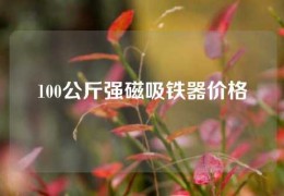 100公斤强磁吸铁器价格