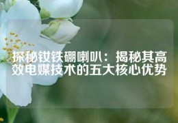 探秘钕铁硼喇叭：揭秘其高效电媒技术的五大核心优势