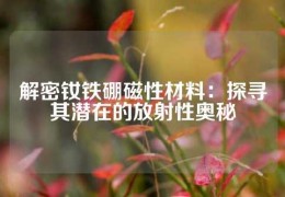 解密钕铁硼磁性材料：探寻其潜在的放射性奥秘