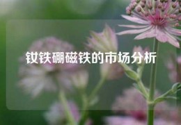 钕铁硼磁铁的市场分析