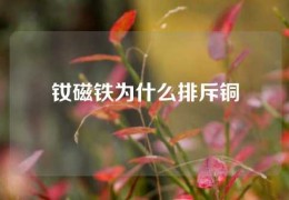 钕磁铁为什么排斥铜