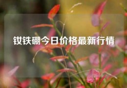 钕铁硼今日价格最新行情