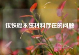 钕铁硼永磁材料存在的问题