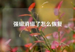 强磁消磁了怎么恢复