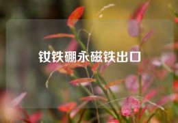 钕铁硼永磁铁出口