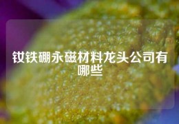 钕铁硼永磁材料龙头公司有哪些