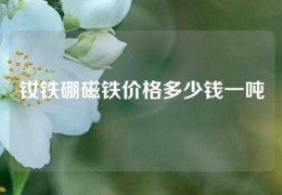 钕铁硼磁铁价格多少钱一吨