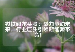 钕铁硼龙头股：磁力驱动未来，行业巨头引领新能源革命！