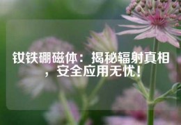 钕铁硼磁体：揭秘辐射真相，安全应用无忧！