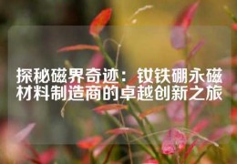 探秘磁界奇迹：钕铁硼永磁材料制造商的卓越创新之旅