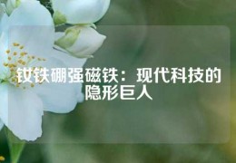 钕铁硼强磁铁：现代科技的隐形巨人