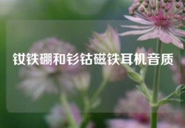 钕铁硼和钐钴磁铁耳机音质