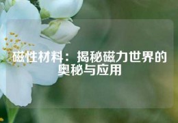 磁性材料：揭秘磁力世界的奥秘与应用