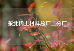 东北稀土材料总厂二分厂