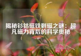 揭秘钐钴磁铁剩磁之谜：超凡磁力背后的科学奥秘