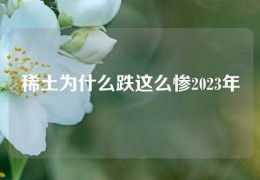 稀土为什么跌这么惨2023年