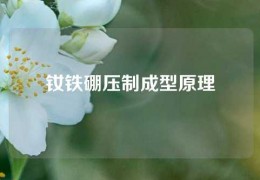 钕铁硼压制成型原理