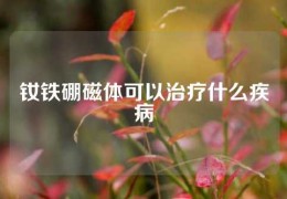 钕铁硼磁体可以治疗什么疾病