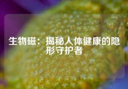 生物磁：揭秘人体健康的隐形守护者