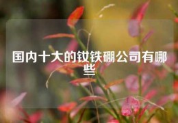 国内十大的钕铁硼公司有哪些