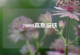 20000高斯磁铁