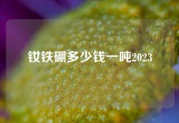 钕铁硼多少钱一吨2023