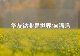 华友钴业是世界500强吗