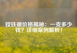 钕铁硼价格揭秘：一克多少钱？详细案例解析！