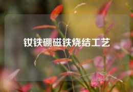 钕铁硼磁铁烧结工艺