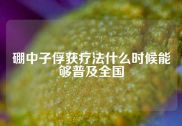 硼中子俘获疗法什么时候能够普及全国