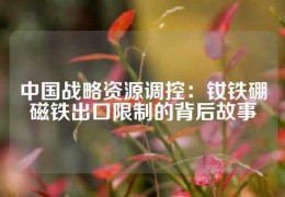 中国战略资源调控：钕铁硼磁铁出口限制的背后故事