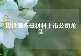 钕铁硼永磁材料上市公司龙头