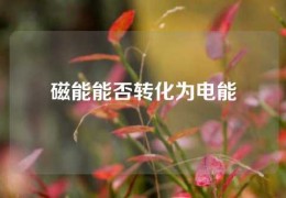 磁能能否转化为电能