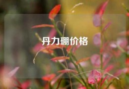 丹力硼价格