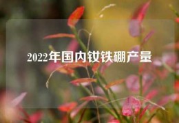 2022年国内钕铁硼产量