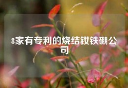 8家有专利的烧结钕铁硼公司