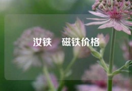 汝铁錋磁铁价格