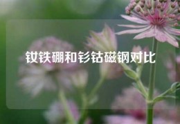 钕铁硼和钐钴磁钢对比